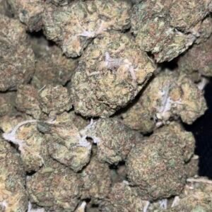Runtz 41 (Premium Indoor Flower)
