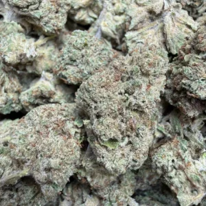 Gelato (Premium Indoor Flower)