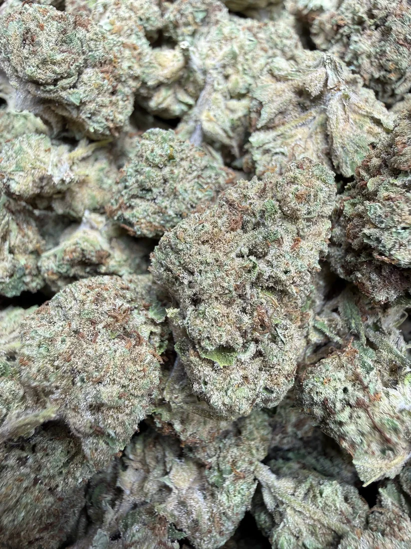 Gelato (Premium Indoor Flower)